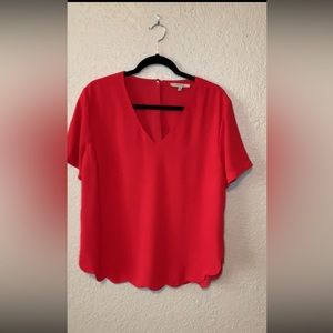 41 Hawthorn Red V-Neck Scallop Hem Short Sleeve Top Blouse Career Casual Dressy